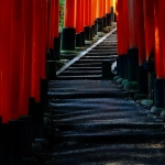 Ошибки игроков в слоте Gates of Olympus Super Scatter